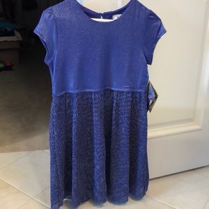 Disney descendants dress. Fits 8-12 girl.